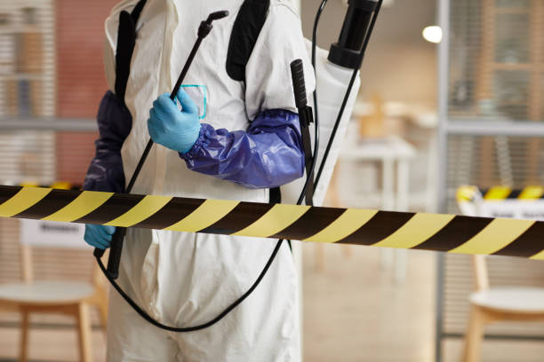 Professional Sewage Cleanup technician working in Franklin, NH